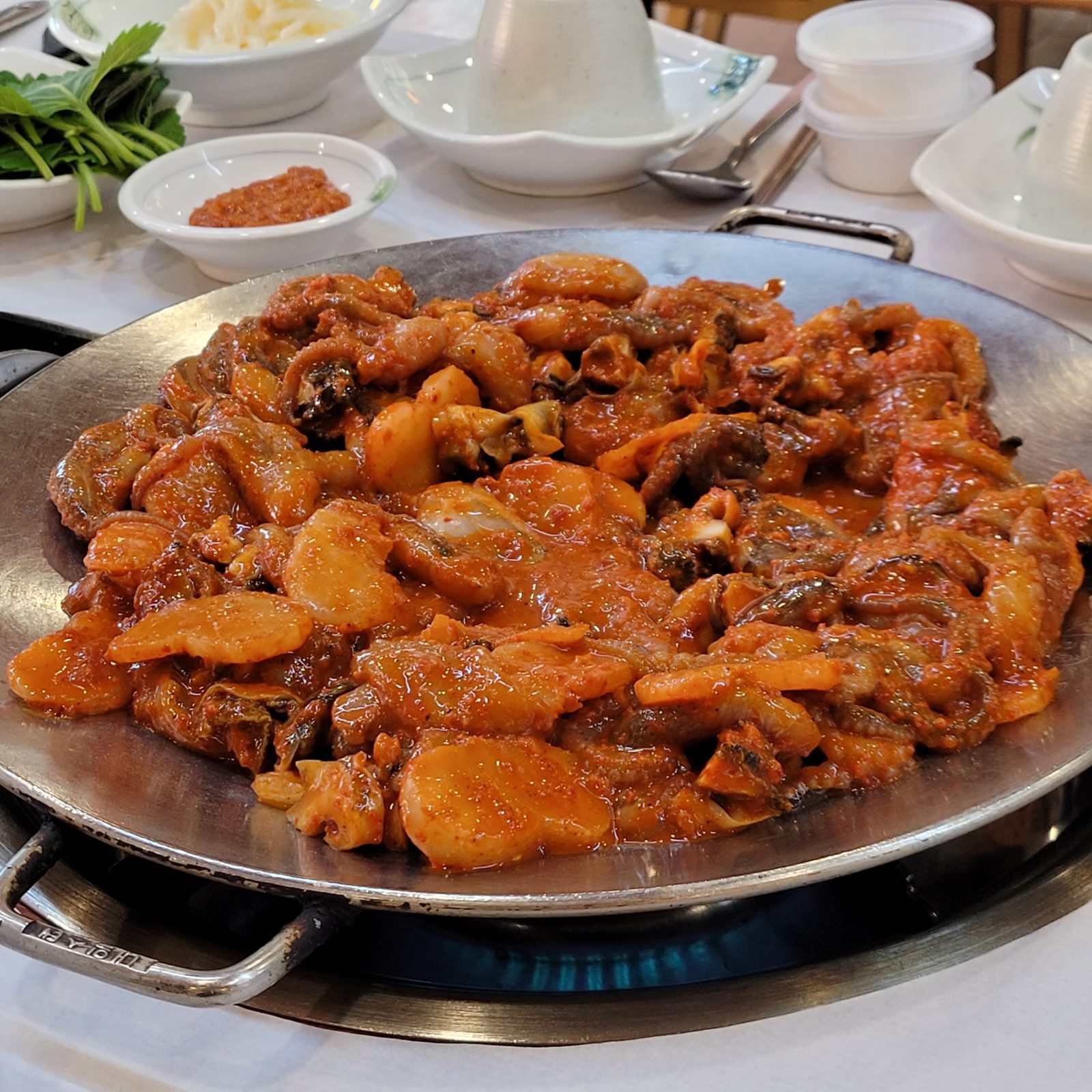 서해쭈꾸미