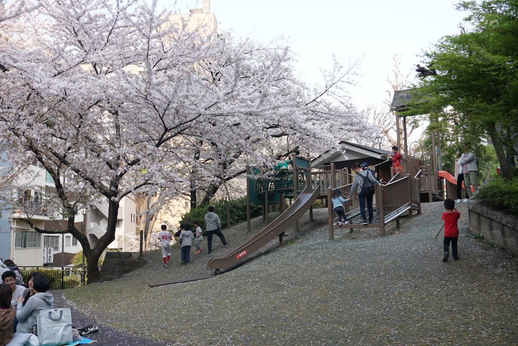 Miyamoto Park