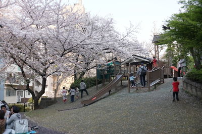 Miyamoto Park