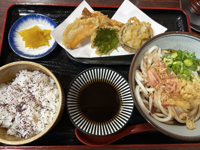 Handmade Udon & Soba Shōraku