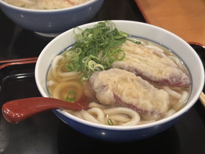 稻葉烏龍麵