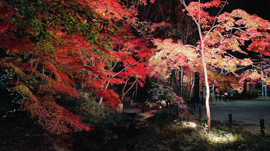 Maple Valley