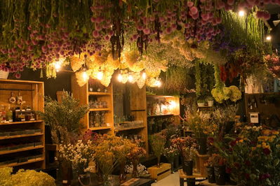 Shelter Cafe