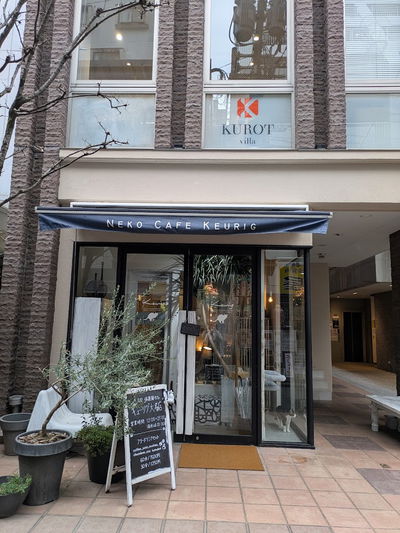 猫カフェ キューリグ大名店