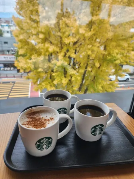 星巴克 釜山UN Park店