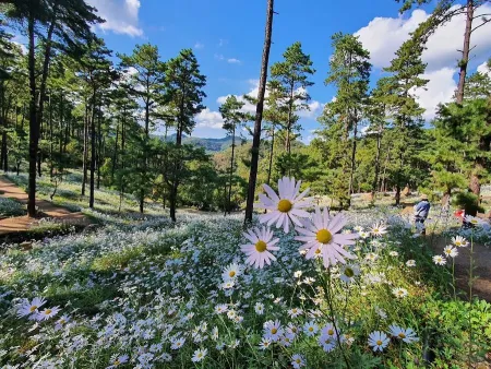 Yulgok Arboretum