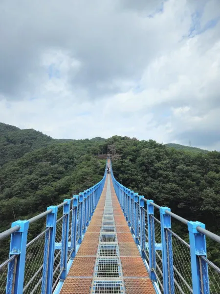 소금산 출렁다리