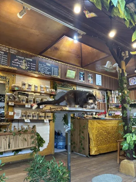 Balistar coffee