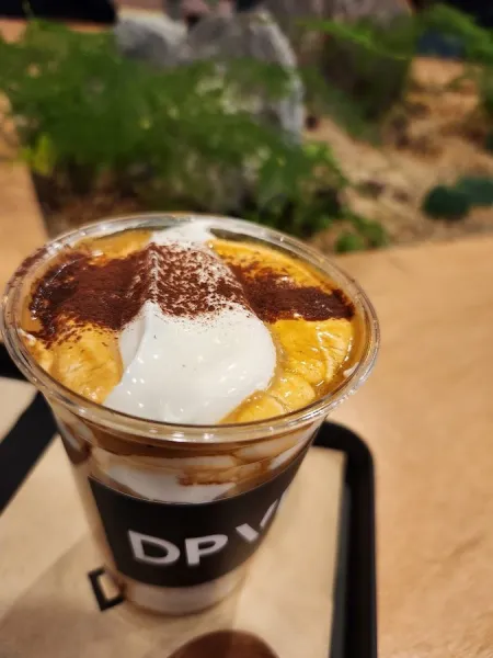 DPVD