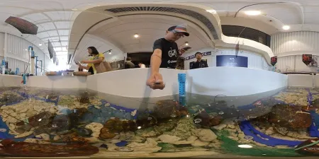 Shinsen Fish Market