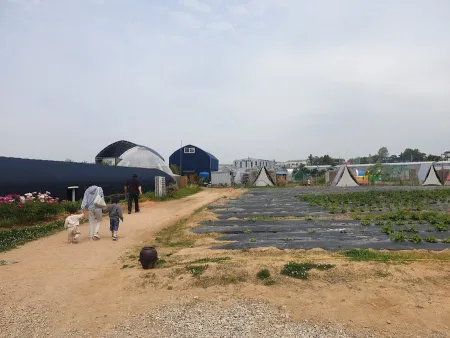 Apple Shine Farm