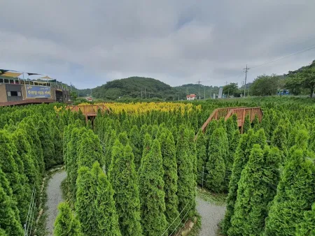 바람아래관광농원