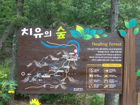 부산 치유의 숲