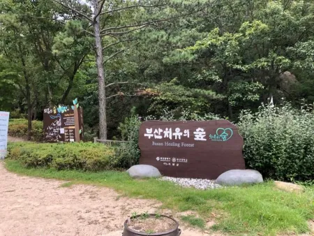 부산 치유의 숲