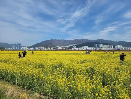 Daejeo Ecological Park