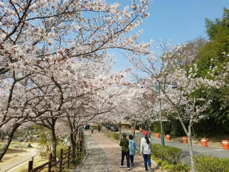 선암호수공원