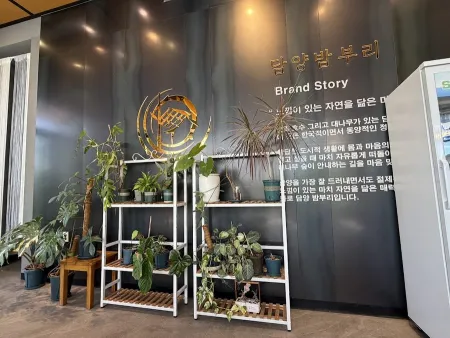 담양밤부리