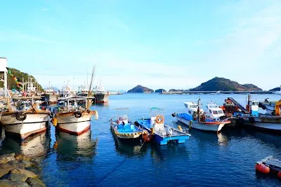 Mijo Port
