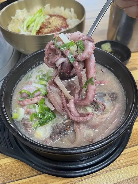 コギドリ