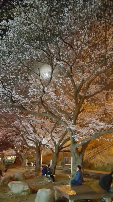 Suseong-ro Children's Park