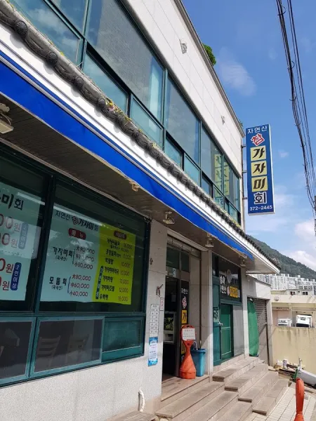 자연산참가자미회