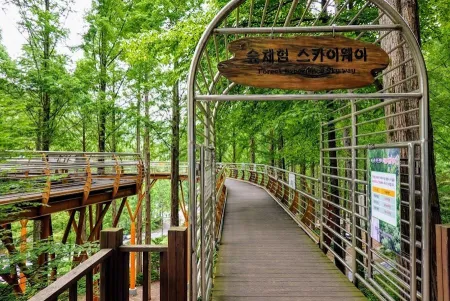 장태산자연휴양림