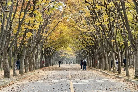 Incheon Grand Park