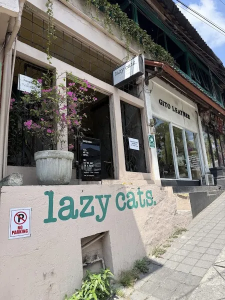 Lazy Cats Cafe