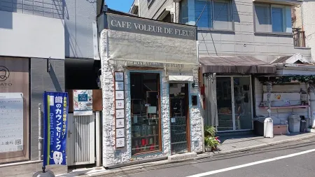 Voleur de Fleur