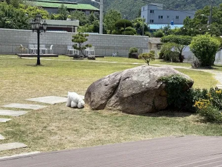 일로우