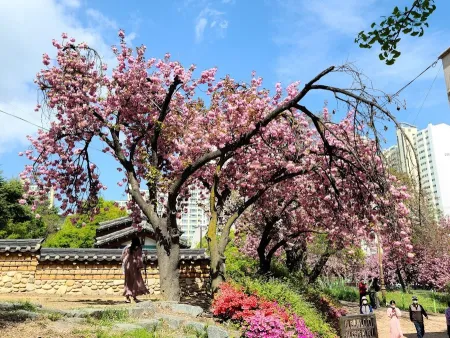 Wolgok History Museum