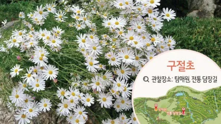 화담숲