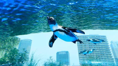 Sunshine Aquarium