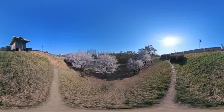Dongbukporu
