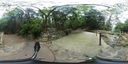 Children's Grand Park Forest Bathing Area