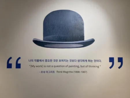 Insa Central Museum