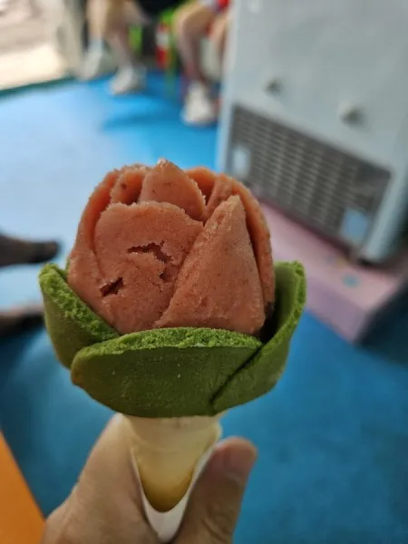 Kkochbongja