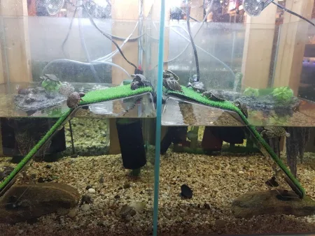Haengbok Aquarium