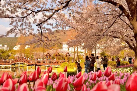 蓮池公園