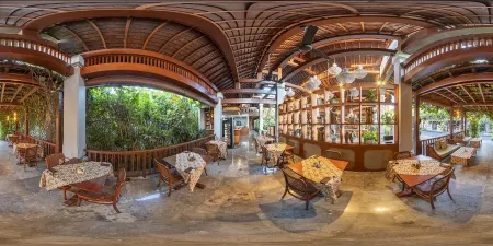 Ely's Kitchen Ubud