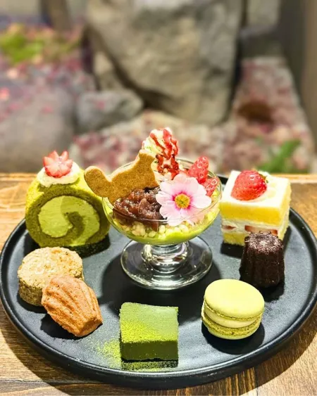 Maison Tanuki