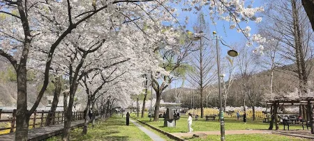 Geumgang Lohas Daecheong Park