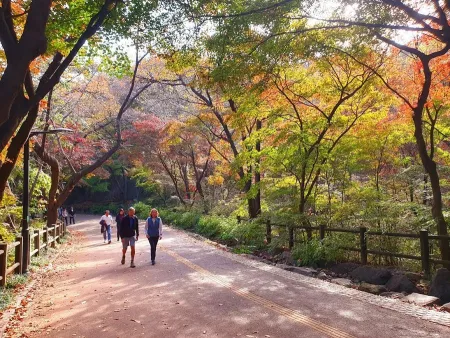 Namsan Dulle-gil Trail