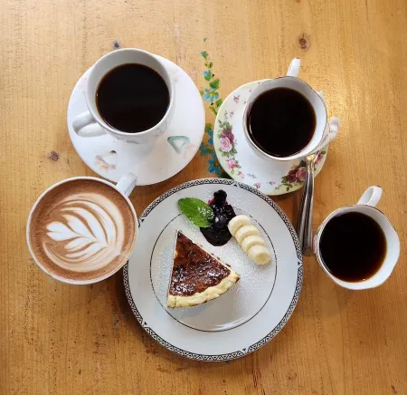 Coffee Tree of Joseph