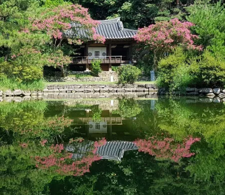 체화정