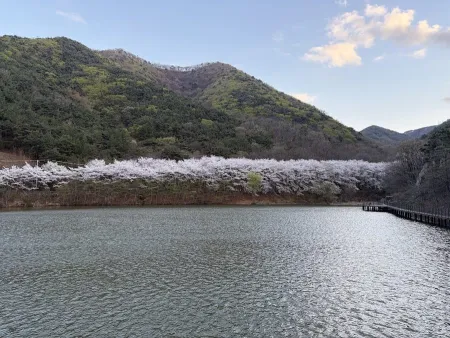 Naegwanji