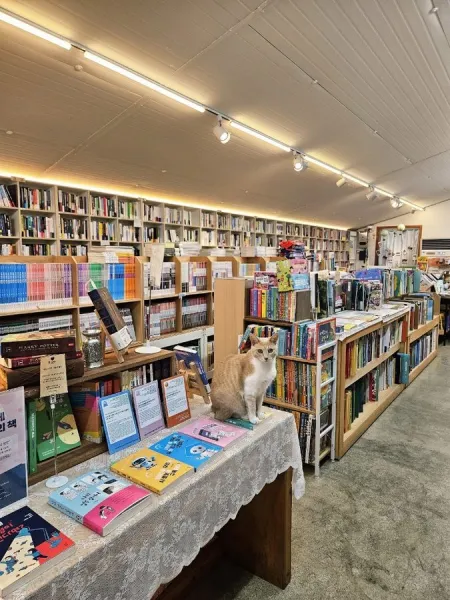 Book House