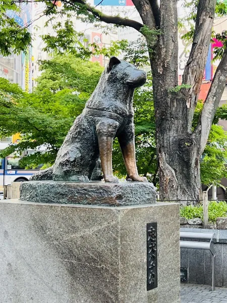 하치코 동상