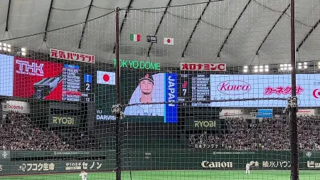 더 돔 바