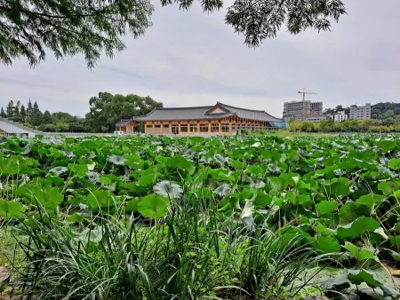 Deokjin Lake